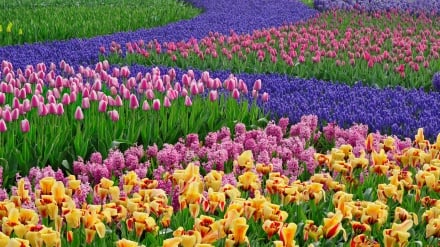 Chanson: Lève-toi! le printemps arrive!