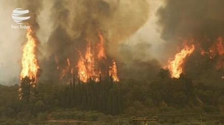 آتش‌ سوزی گسترده در ۱۰ هزار هکتار جنگل در غرب آمریکا