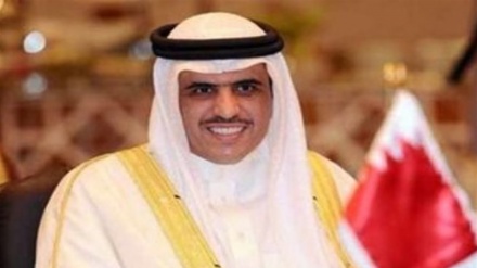 अलजज़ीरा, आतंकवाद का समर्थन कर रहा हैः बहरैनी मंत्री