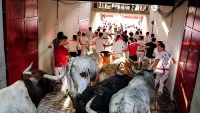 Pamplona festival u Španiji
