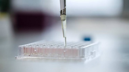 Vaccini antitumore sicuri