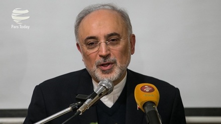 Ali Akbar Salehi Kembali Pimpin AEOI