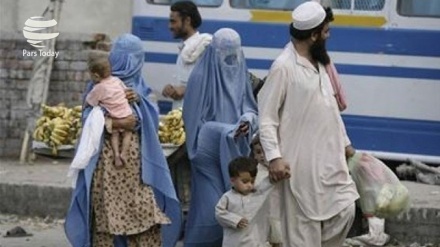 ONU celebra reconocimiento de refugiados afganos en Paquistán