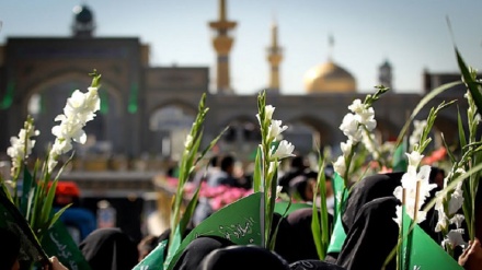 حرم مطهر امام رضا (ع) گلباران شد