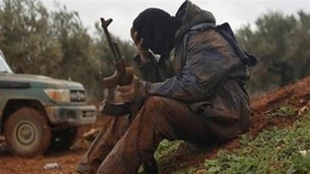 Les daechistes doivent se rendre ou mourir