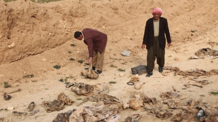 Zbulohet një varr masiv në Irak