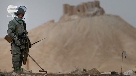 Ўзбек-Тожик чегарасини миналардан тозалаш амалиёти бошланмоқда