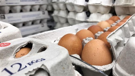 Contaminated eggs scandal spreads from Europe to Asia