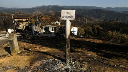 Bruxelas disponibiliza 45 milhões de euros a Portugal por causa dos incêndios