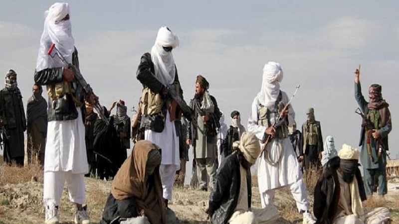 نماینده مجلس  افغانستان  :جنایات جنگی و نسل کشی در منطقه میرزا اولنگ  رویداده است
