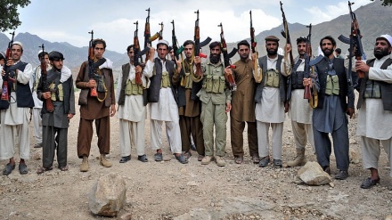  اخبار ضد و نقیض از سقوط ولسوالی زنخان در جنوب شرق افغانستان