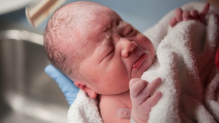 Masal, Tolış və Ostoro şəhristanonədə fərzənd bə dınyo ome ve bəy