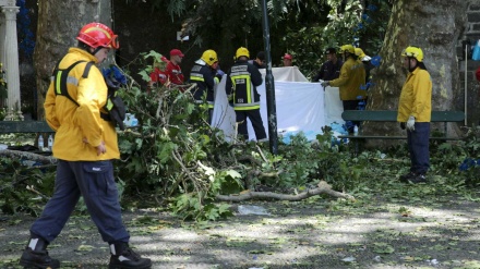 Portugal: Queda de árvore em festa religiosa mata 13 e fere dezenas na Madeira