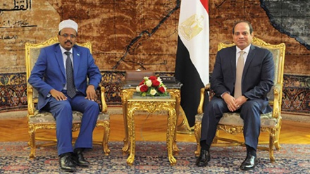 Kasashen Masar Da Somaliya Sun Jaddada Bukatar Bunkasa Alaka A Tsakaninsu 