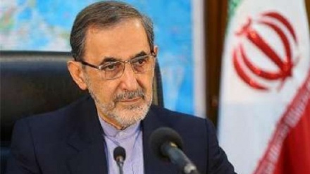 Velayati: Umat Islam Punya Peran Penting dalam Peradaban Manusia 