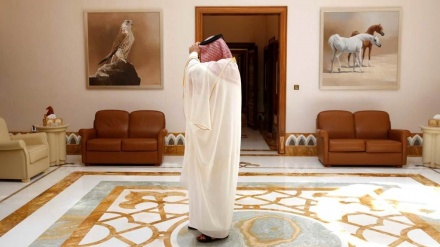 La saggezza del Qatar 