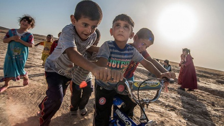  آوارگی هشت میلیون نفر از مردم عراق