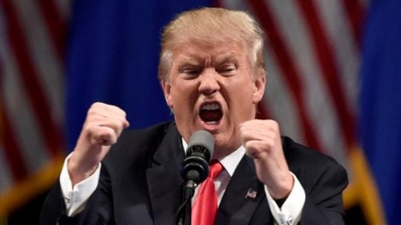 Ники Ҳейли: Доналд Трамп ақлдан озган 