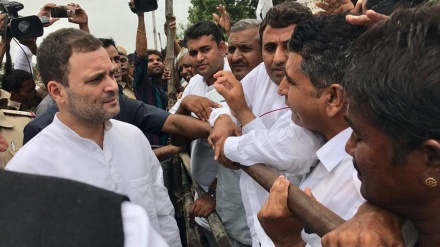 গুজরাটে রাহুল গান্ধীর গাড়িবহরে হামলা, বিজেপিকে দায়ী করল কংগ্রেস