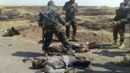 Fuerzas populares de Irak limpian de Daesh la frontera con Siria+Video