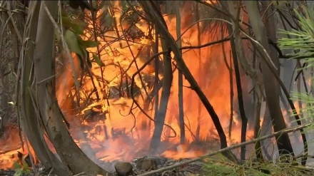 Portogallo in fiamme