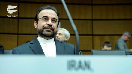 伊朗在国际公约中发挥着动力作用