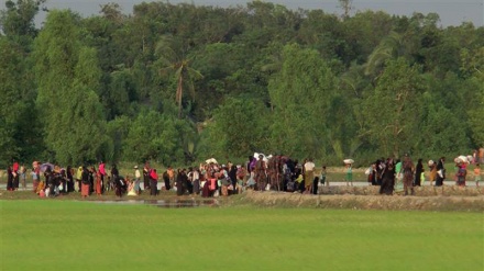 Tens of thousands of Muslims flee violence in western Myanmar