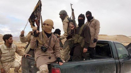 AS Bantu Teroris al-Qaeda dan Daesh Berperang di Yaman