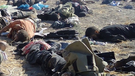 Mueren 7 comandantes de Daesh en el ataque de los cazas rusos en Siria