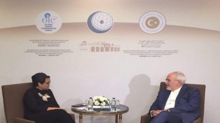 دیدار وزیران خارجه ایران و اندونزی در استانبول / مصافحه ظریف و الجُبیر 