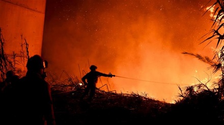 Portugal asks for help from Europe to fight forest fires