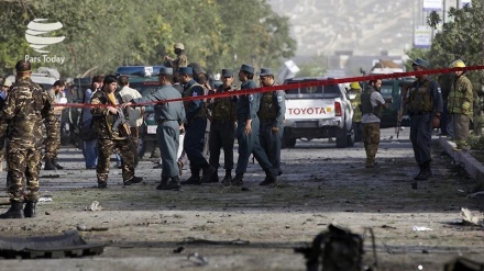 阿富汗专家：部分西方国家致力于加强达伊沙恐怖组织