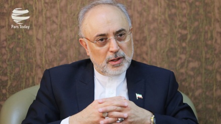 Salehi: Dirjen IAEA Tidak Meminta untuk Mengunjungi Pusat Militer Iran   