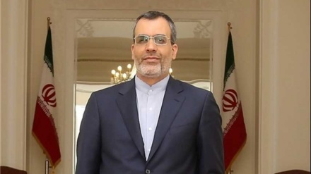 贾比里-安萨里：伊朗支持黎巴嫩反恐