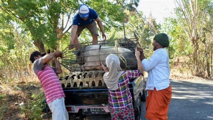 Rumbling volcano forces thousands more to flee Bali