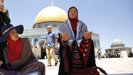 İslami İşbirliği Teşkilatı İİT: İsrail'in Filistin'de hiç bir toprak hakkı bulunmamakta