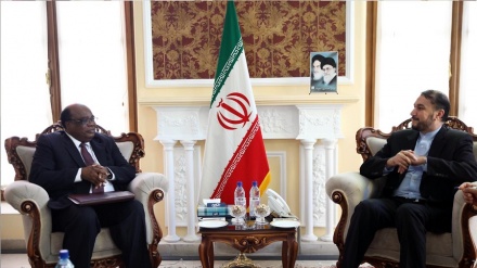 Ushirikiano wa Iran na Zimbabwe katika mapambano dhidi ya mabeberu ni mfano wa kuigwa