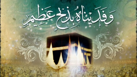 عید قربان(1)