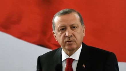 Erdoğan: Nijerya ile Boko Haram'a karşı mücadelede işbirliği yapacağız