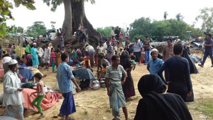 About 400 people die as Myanmar cracks down on Rohingya