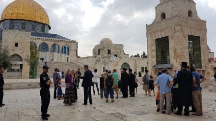 Orde di coloni invadono i cortili di al-Aqsa