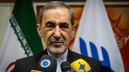 Velajati: Për Iranin, të gjitha opsionet janë mbi tryezë