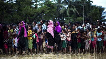 国連、「ミャンマー西部のロヒンギャ族の状況は想像を絶する」