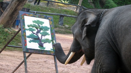 رونق گردشگری در تایلند با فیل! + ویدیویی