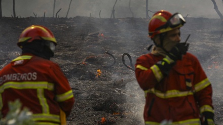 Mais de 170 bombeiros e sete meios aéreos combatem fogo na Covilhã