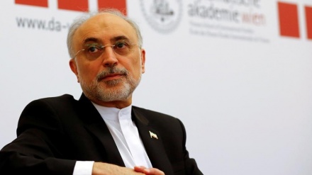 Salehi telefoniert mit Amano