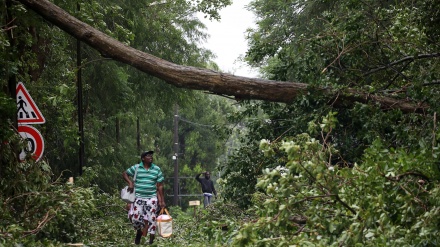 Dois mortos em Guadalupe à passagem do furacão Maria  
