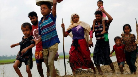 Myanmar: Fuga massive de rohingyas para o Bangladesh