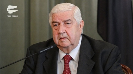 叙外长：美在该国的军事存在是非法的