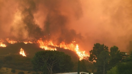 Incêndio descontrolado arrasa mais de 2.000 hectares a norte de Los Angeles